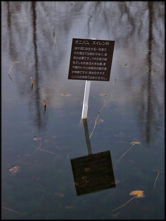 Sign in water