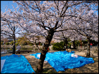 Reserved spaces for Hanami
