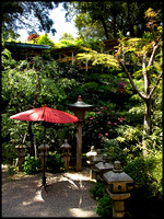 Red umbrella, Japanese garden