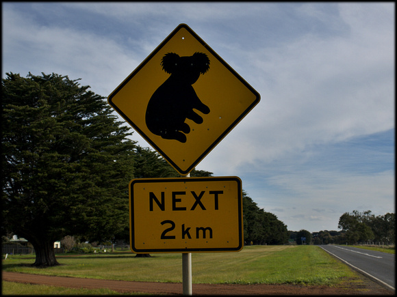 Koala sign