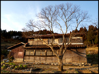 Old farmhouse (col)