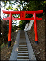 torii (col)