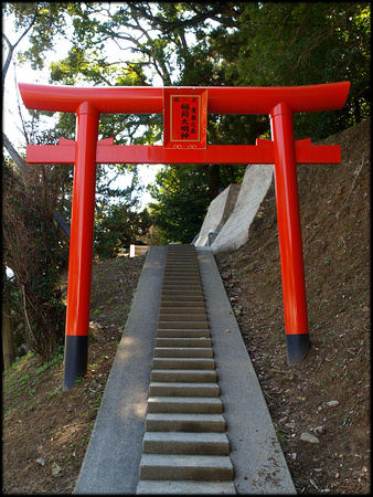 torii (col)