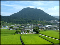 02. rice fields