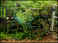 Abandoned green bicycle, Tafuse river
