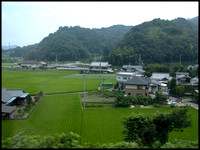 16. patchwork rice fields