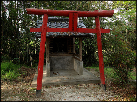 Small red torii