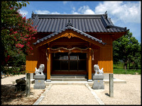 New shrine building
