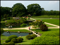 View of garden from the hill