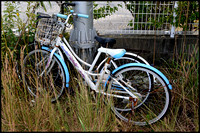 Abandoned bicycles
