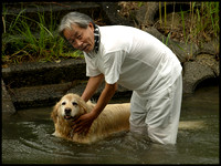 Man and dog, bathing
