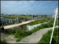 11. cemetery