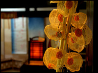 Washi lantern, and colored washi behind dried flower heads.