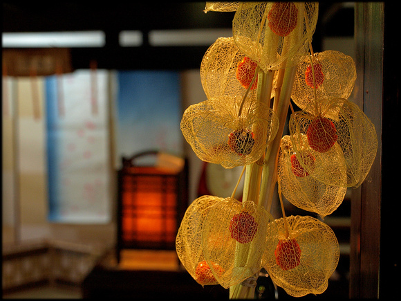 Washi lantern, and colored washi behind dried flower heads.