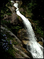 Mikaeri falls, Saga