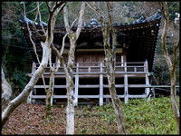 Wooden temple building