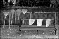 Park cleanup tools BW