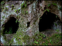 Burial caves