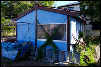 Blue shed
