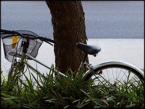 Abandoned bicycle