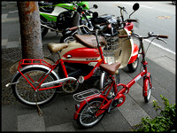 RD red bikes